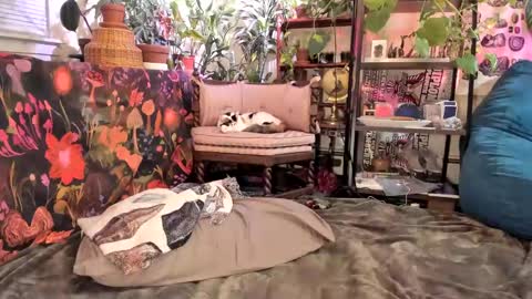 Goddess Pluto online show from 01.31.25