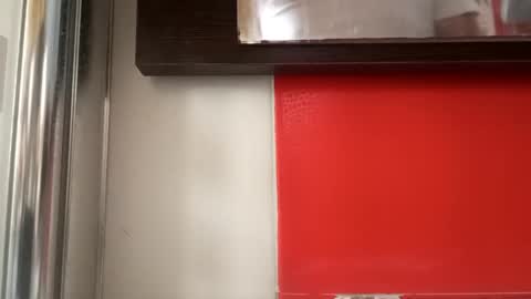 Snapshot of pollonmix chatting on 09.11.25 pollonmix online show from 09.11.25