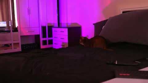 Snapshot of polusladkoye chatting on 09.17.25 Megan.online online show from 09.17.25