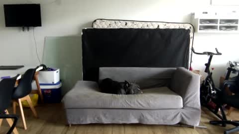 Snapshot of popopo00 chatting on 01.28.25 popopo0 online show from 01.28.25