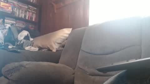 Snapshot of porkingit400 chatting on 02.14.25 porkingit400 online show from 02.14.25