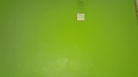 pretty_g2 online show from 12.01.25