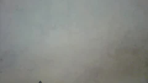 prettycarl_2 online show from 03.01.25