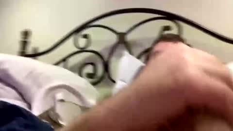 protostarr online show from 01.30.25