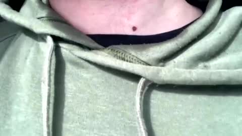 protostarr online show from 02.07.25