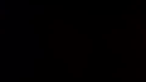 Snapshot of pup_toby chatting on 11.02.25 Toby online show from 11.02.25