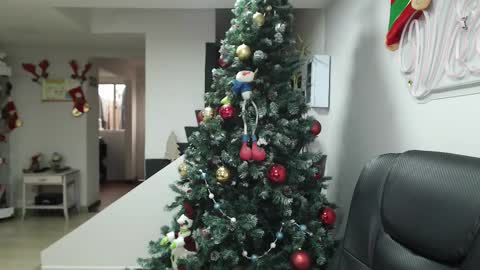 Snapshot of queen_zafiro88 chatting on 11.17.25 Zafiro ILL BROADCAST UNTIL DECEMBER Onlyfans online show from 11.17.25