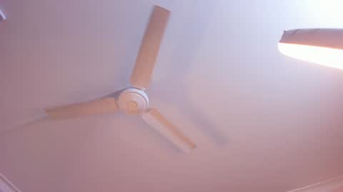 Rachel online show from 01.03.25