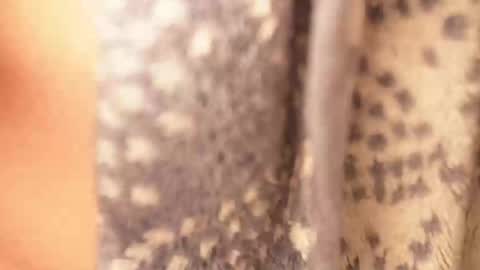 Snapshot of ramichick chatting on 02.17.25 Rami online show from 02.17.25