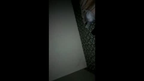 Snapshot of randallcody15 chatting on 10.06.25 randallcody15 online show from 10.06.25