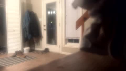 Snapshot of rdyforitall chatting on 12.10.24 Mr Nice online show from 12.10.24