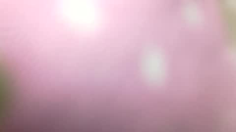 Shaved cock ready online show from 01.01.25