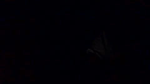 Snapshot of richardsone1 chatting on 10.12.25 Babu online show from 10.12.25