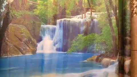 bwc daddy online show from 12.09.24