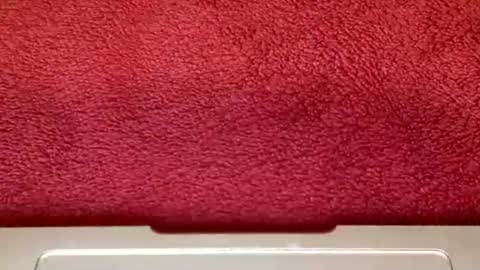 rimalova online show from 10.25.25