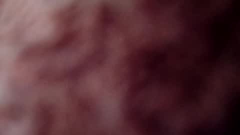 Snapshot of rose12161216 chatting on 11.03.25 rose12161216 online show from 11.03.25