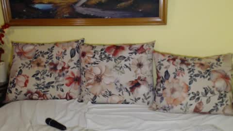 Snapshot of rubysky__ chatting on 02.03.25 Ruby online show from 02.03.25