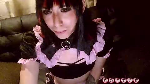 Snapshot of s0ft_s3rv chatting on 11.08.25 Softie 3 online show from 11.08.25