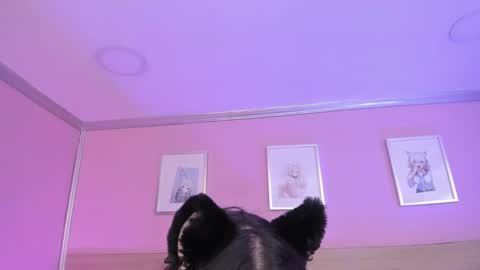 Snapshot of sachi_meow chatting on 02.15.25 Ig online show from 02.15.25