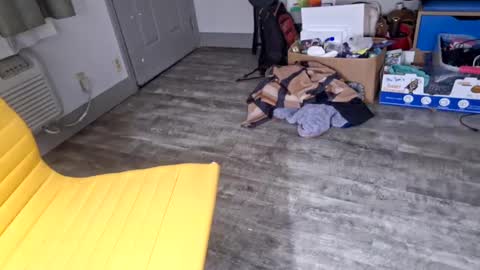 samboiamtho online show from 01.03.25