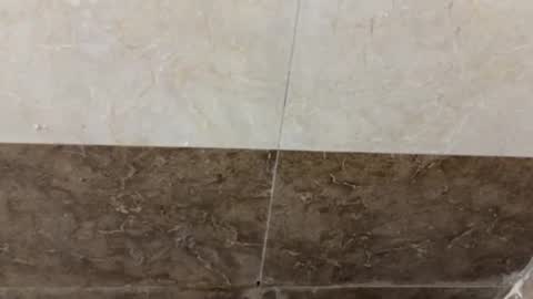 Snapshot of samnivin chatting on 11.01.25 samnivin online show from 11.01.25