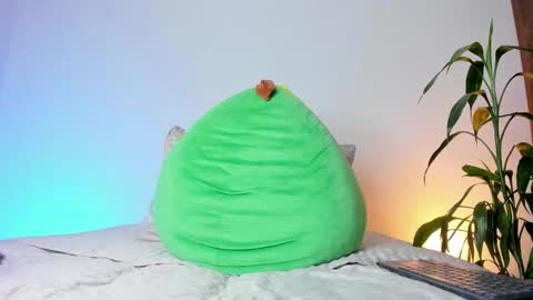     online show from 11.14.25