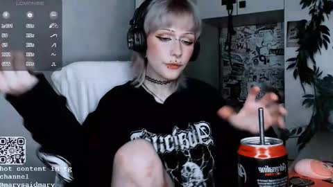 Snapshot of say_mary chatting on 10.13.25 pronoun she. name Mary. age 21. online show from 10.13.25