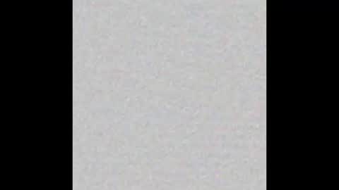 Venus online show from 11.02.25