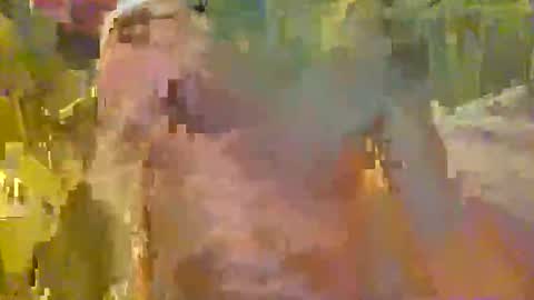 scoutiii online show from 11.21.25