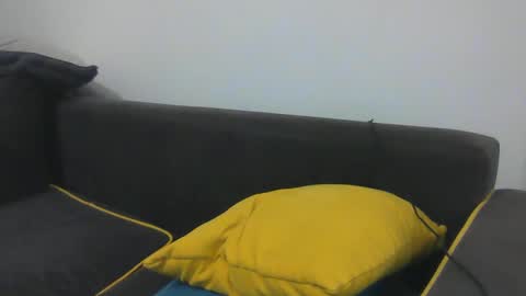 Snapshot of sedulo chatting on 01.02.25 seyfo online show from 01.02.25