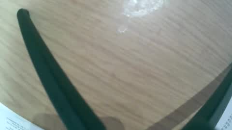 Snapshot of seidenlust chatting on 10.19.25 SeidenLust online show from 10.19.25