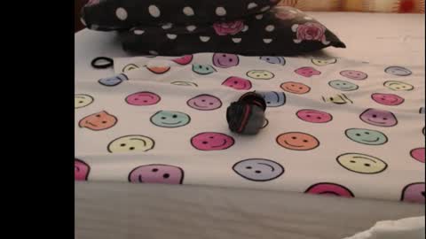 Anne online show from 10.25.25