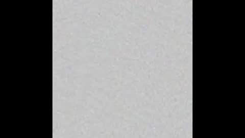 Royal Duo online show from 12.13.24