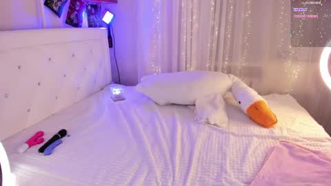 Snapshot of shameles_pussy chatting on 03.12.25 shameles_pussy online show from 03.12.25