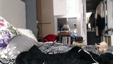 Shannon07 online show from 01.13.25