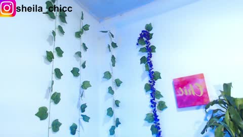 Snapshot of sheila_bigcok chatting on 12.09.24 SHEILA online show from 12.09.24