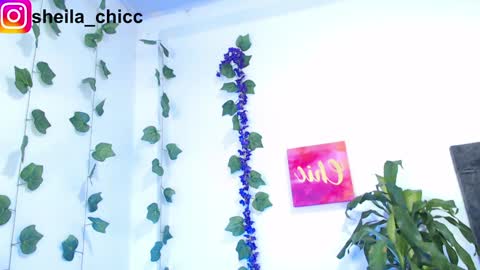 Snapshot of sheila_bigcok chatting on 12.09.24 SHEILA online show from 12.09.24