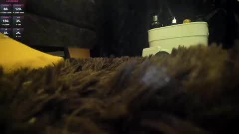 Snapshot of shinigamidoll chatting on 03.07.25 Shinigamidoll see you soon online show from 03.07.25