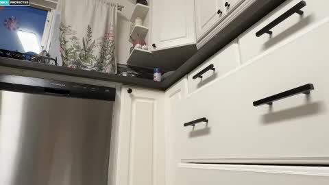 Snapshot of shygingerpnw chatting on 10.11.25 shygingerpnw online show from 10.11.25