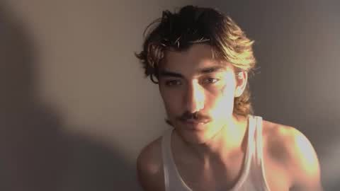 Snapshot of silly_cybin chatting on 11.17.25 cybin online show from 11.17.25