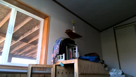 Snapshot of skinnystrong chatting on 01.31.25 skinnystrong online show from 01.31.25