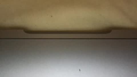 Snapshot of slimthick69couple chatting on 10.01.25 slimthick69couple online show from 10.01.25