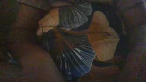 Snapshot of slothslav chatting on 12.18.24 slothslav online show from 12.18.24