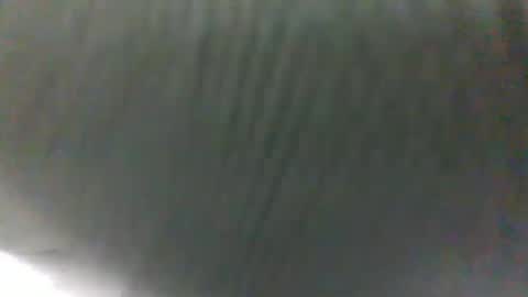 Snapshot of slothslav chatting on 01.31.25 slothslav online show from 01.31.25