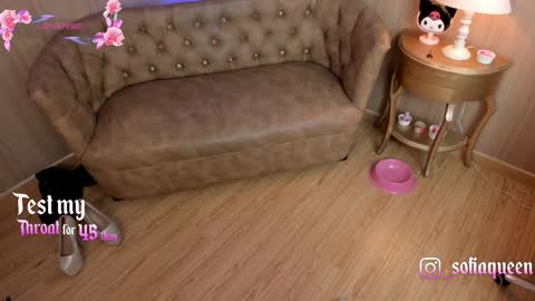 Snapshot of soffiqueen chatting on 01.21.25 Schedule 1400 - 2100 gtm-5 online show from 01.21.25