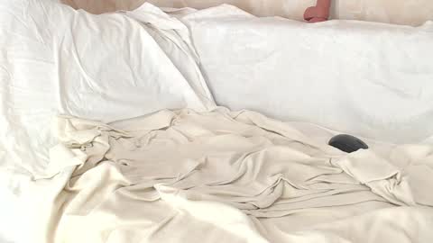 Sofia here online show from 01.08.25