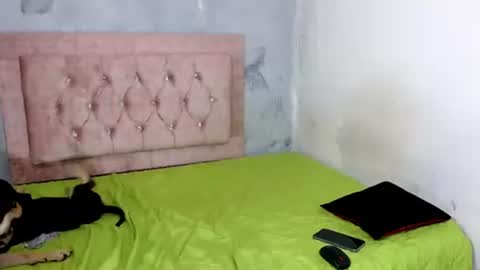 Snapshot of sofiadoll77 chatting on 02.08.25 sofiadoll77 online show from 02.08.25