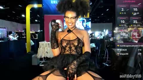 Snapshot of softbby123 chatting on 11.08.25 Chloe Kiwi online show from 11.08.25