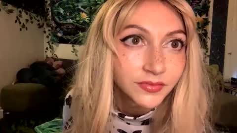 solshimmer online show from 10.11.25