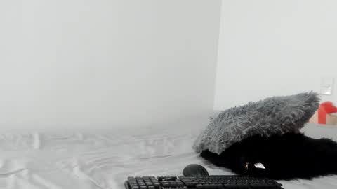 sophiebaker__ online show from 03.11.25